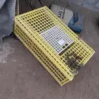 شبوك لنقل الطيور