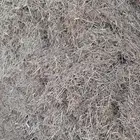 عسيب مجروش خياش