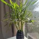 مشاتل نبراس الشرقية