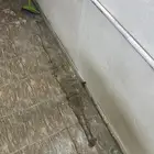 دودة دركسون اتش ون باص هونداي