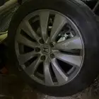 جنوط اكورد وكاله وكفرات جديده