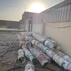 سطول حمام ودجاج للبيع
