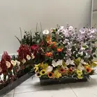 استاندات ورد للبيع