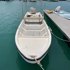 الظاعن 22 قدم