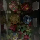 سلاحف للبيع