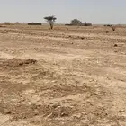 ارض للإجار