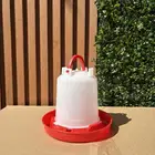 مستلزمات طيور ودواجن