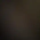 مطلوب 4 دجاج بياض