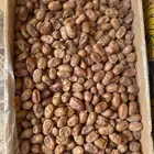 تمر اخلاص الاحساء