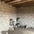 حجل منتج و ازواج عدده 61