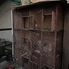 للبيك شبوك دجاج وحمام متنوعه