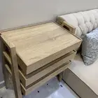 مجلس ارضي