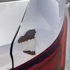 اكسنت 2018