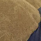 قمح نظيف