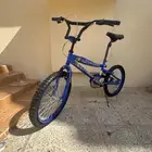 كوبرا جديد