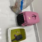 اغراض قطط للبيع