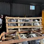 مكاين كامري مستورده من 2003 الى 2017