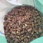 حشف للبيع 80 كيس شعير