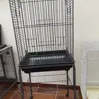 3 أقفاص كاسكو