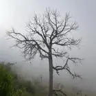 احتاج شقة جديده