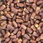 برني العيص