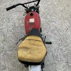 دباب جحش تشليح