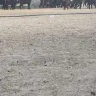 تيوس وعنقان