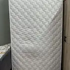 مرتبة جديدة