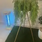 اثاث بيت وتحف للبيع