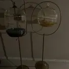 استناد طيور العدد اثنين