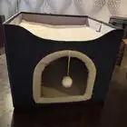 منزل حيوانات أليفة قطط