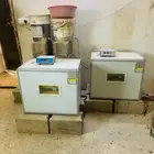 فقاستين تاخذ 600بيضه