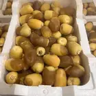 رطب خلاص خرف يومي بيع جمله
