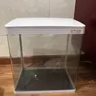 حوض سمك
