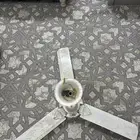 مروحه
