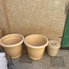 احواض زراعه