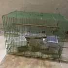 قفص