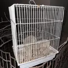 شبوك طيور زينة
