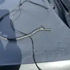 حساس آي بي اس خلفي جي كلاس 2014 جي 63