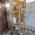 خنات حمام