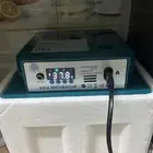 فقاسة
