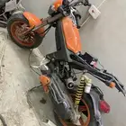 دباب ياباني للبيع