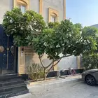 ياسمين هندي