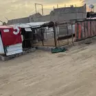 شبوك غنم للإيجار