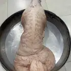 نعيم كناور ووسط وهرافي وحريات مناسبات وثلاجه كفو
