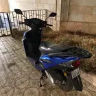 للبيع عجيب صيني