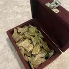 عود كينام صيني جودة وأسعار مميزة