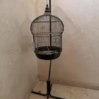 قفص لطيور