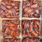 تمر حبه كبير على شرط 130