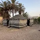 بيت شعر خيمه مبطنه 8 في 8